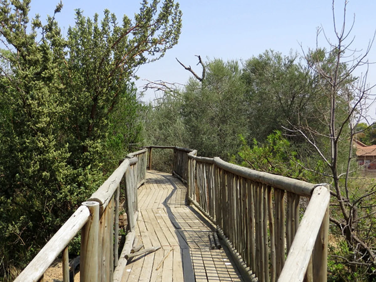 The timber walkway leading through Norscot Koppies